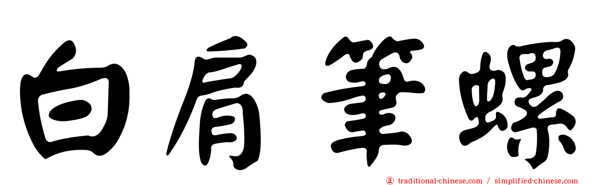白肩筆螺