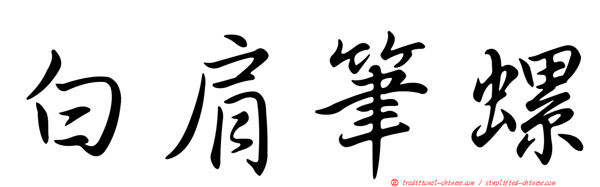 白肩筆螺