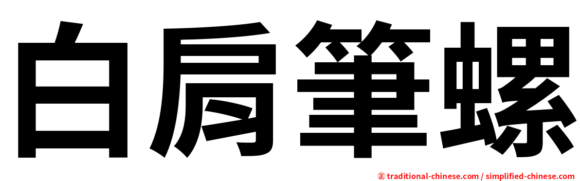 白肩筆螺