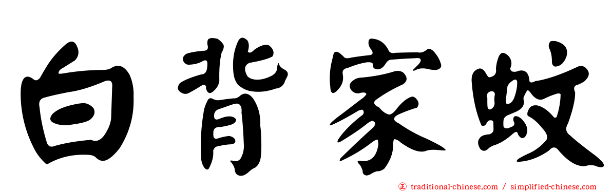 白背家蚊