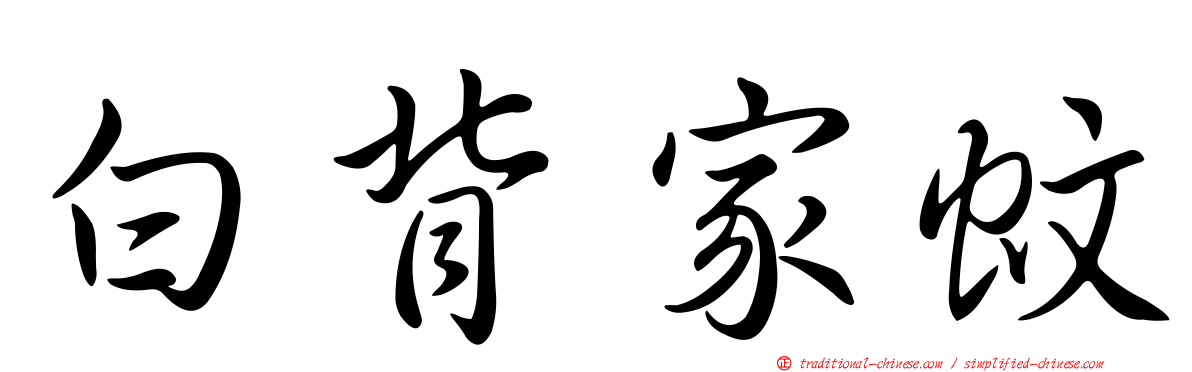 白背家蚊