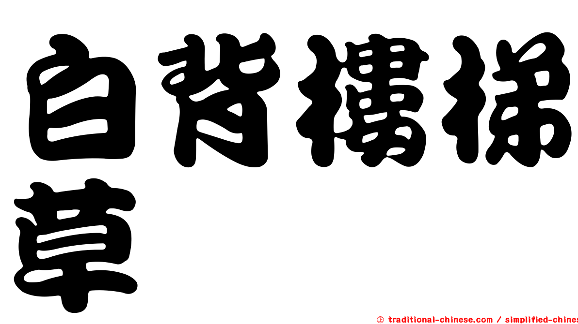 白背樓梯草