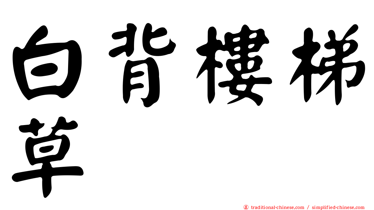 白背樓梯草