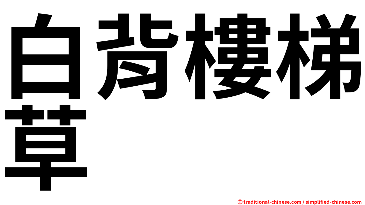 白背樓梯草