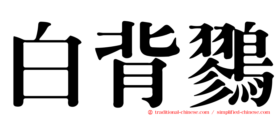白背鷚