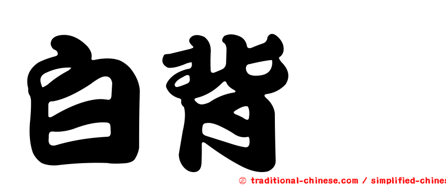 白背鷚