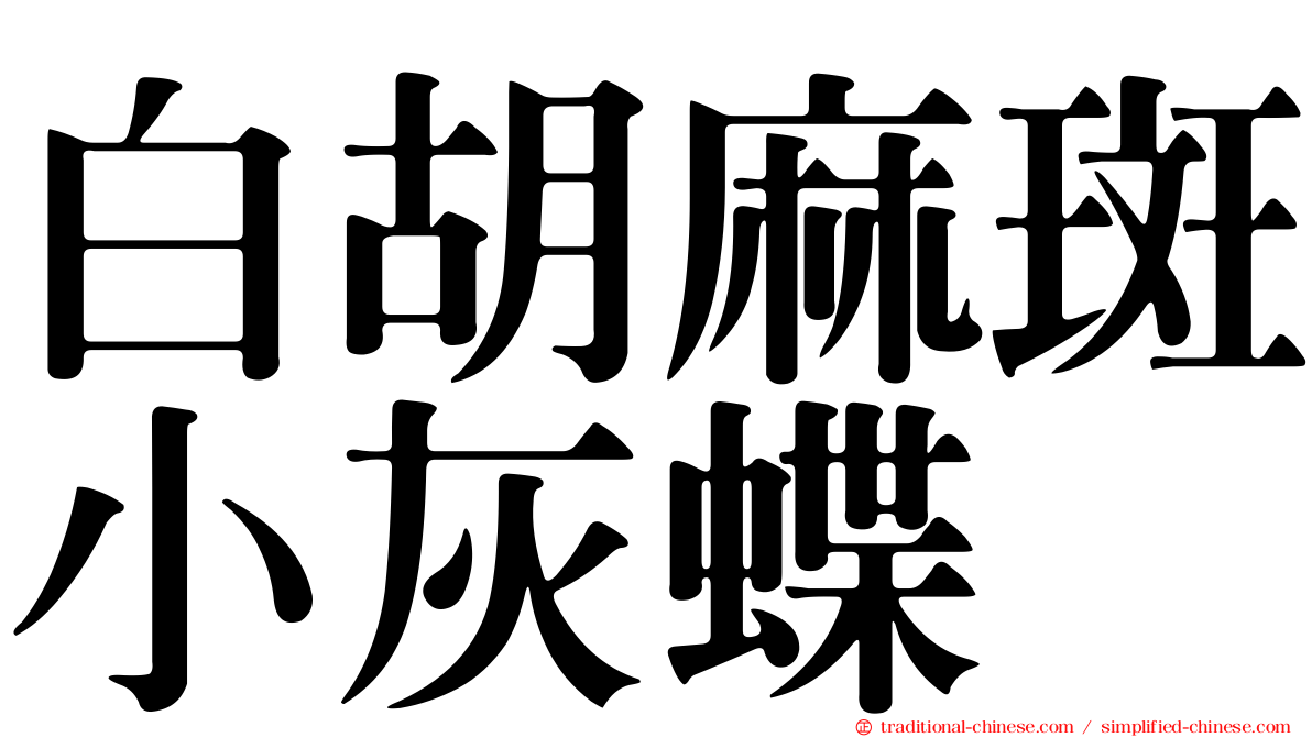 白胡麻斑小灰蝶