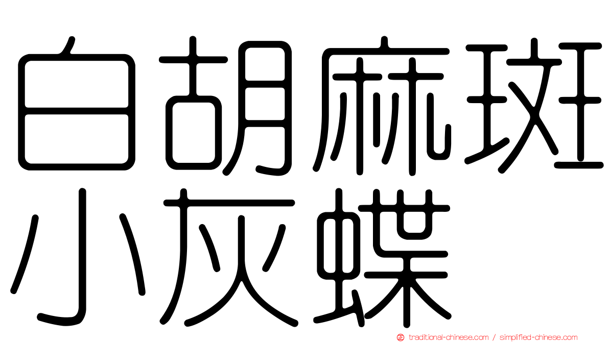 白胡麻斑小灰蝶