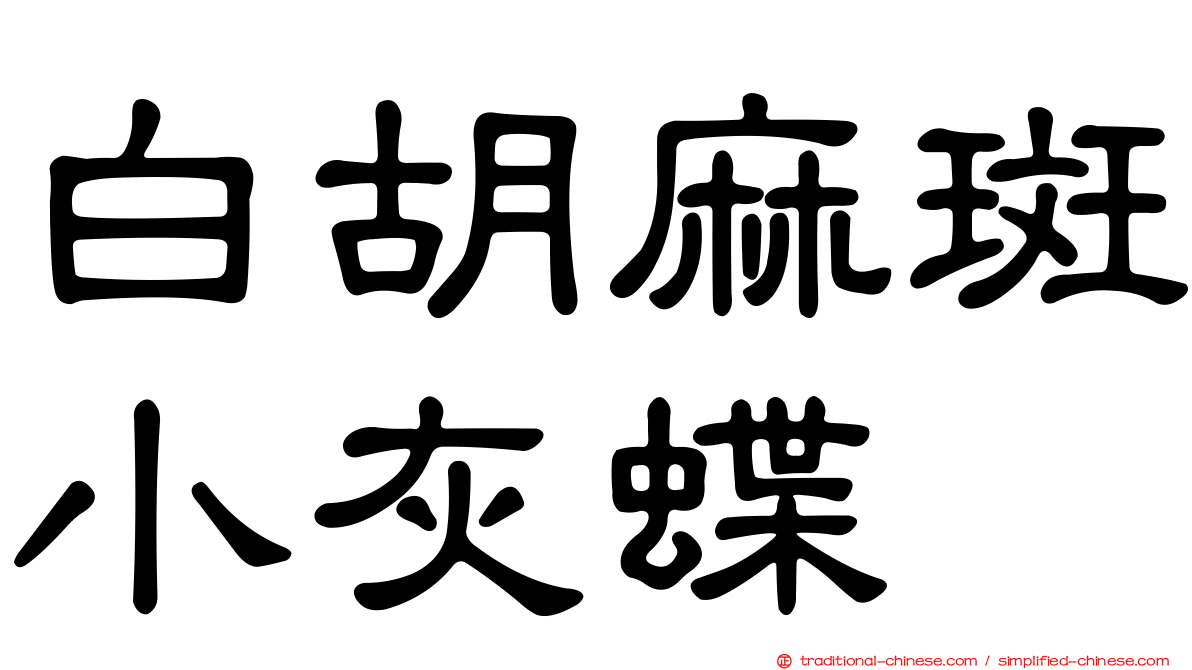 白胡麻斑小灰蝶