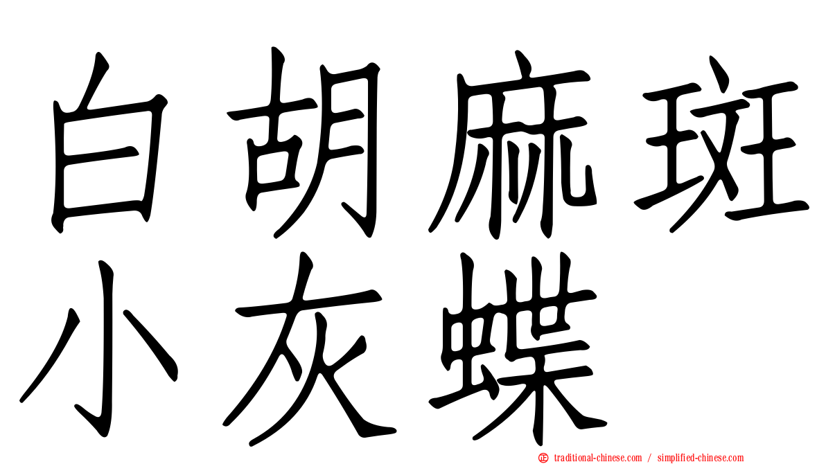 白胡麻斑小灰蝶