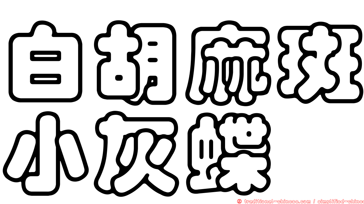 白胡麻斑小灰蝶