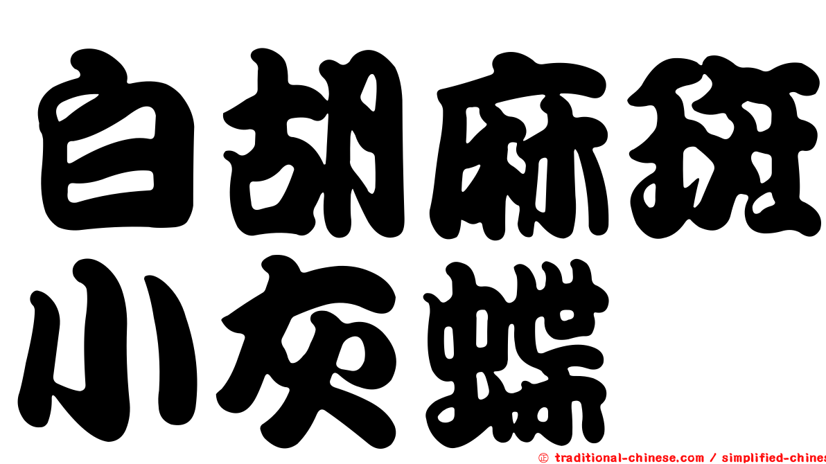 白胡麻斑小灰蝶