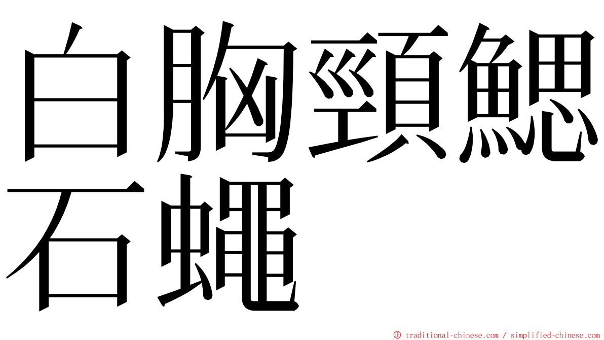 白胸頸鰓石蠅 ming font