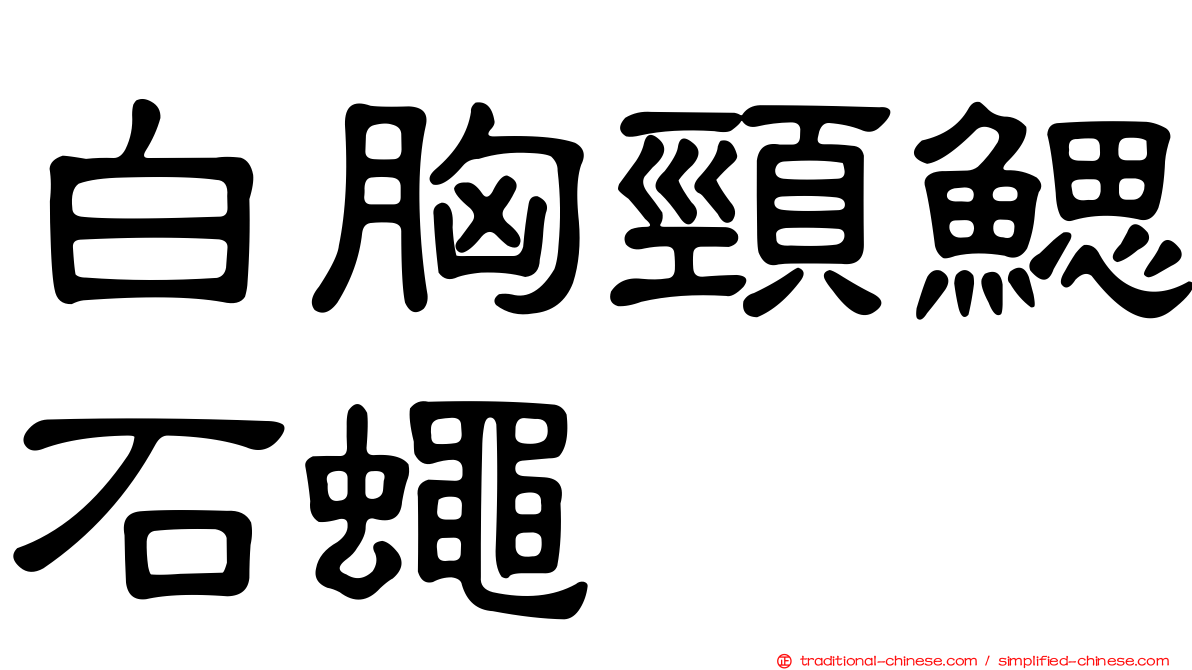 白胸頸鰓石蠅