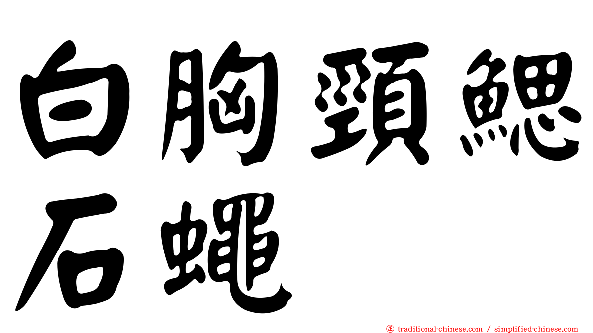 白胸頸鰓石蠅