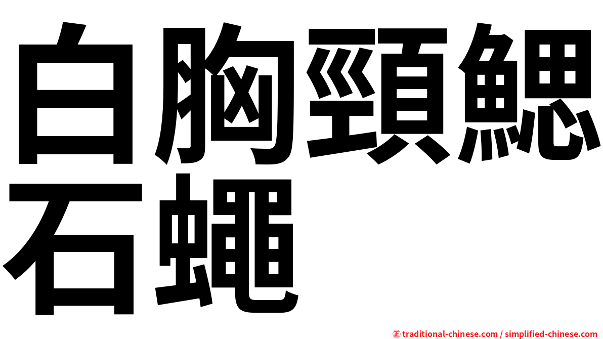 白胸頸鰓石蠅