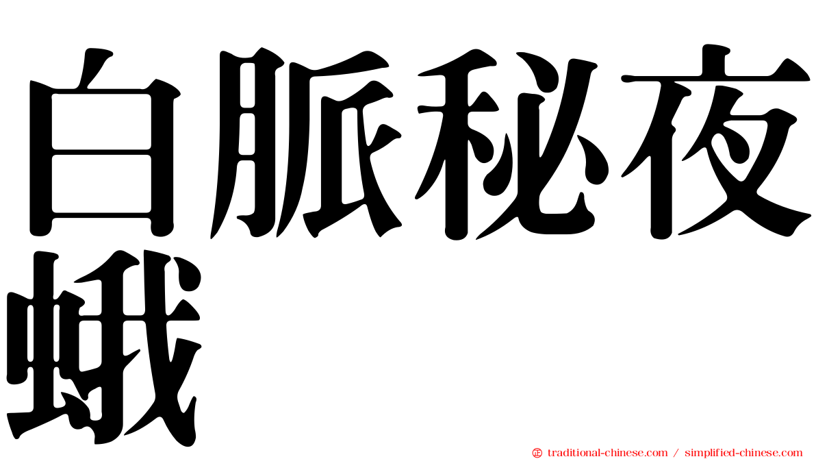 白脈秘夜蛾