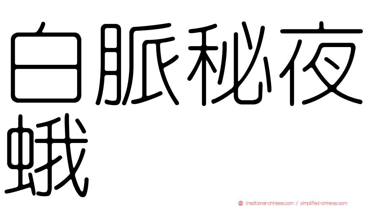 白脈秘夜蛾