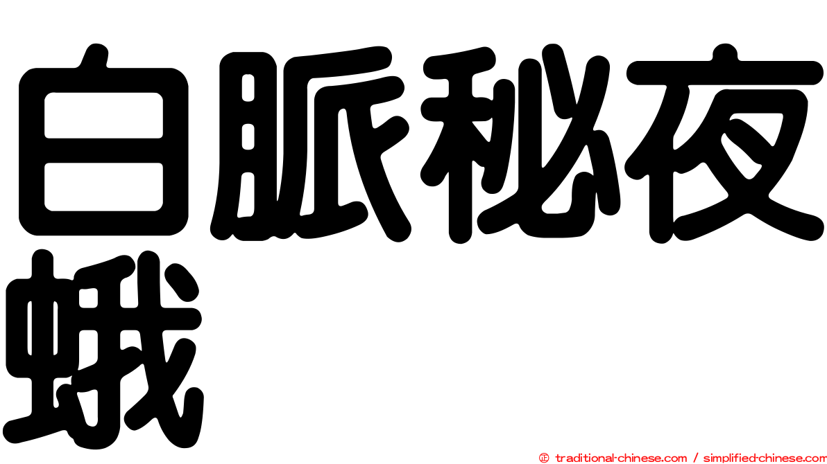 白脈秘夜蛾