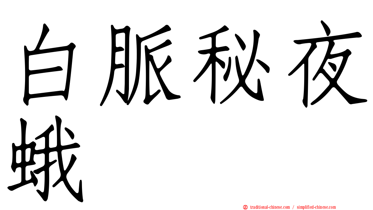 白脈秘夜蛾