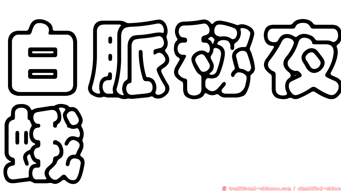 白脈秘夜蛾