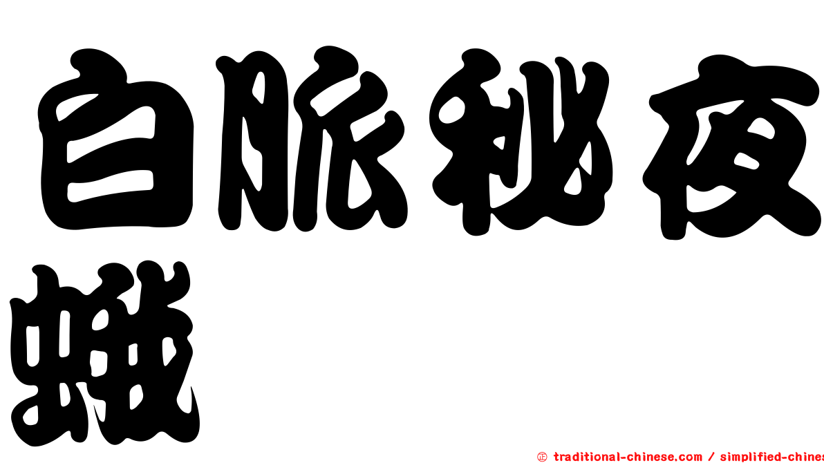 白脈秘夜蛾