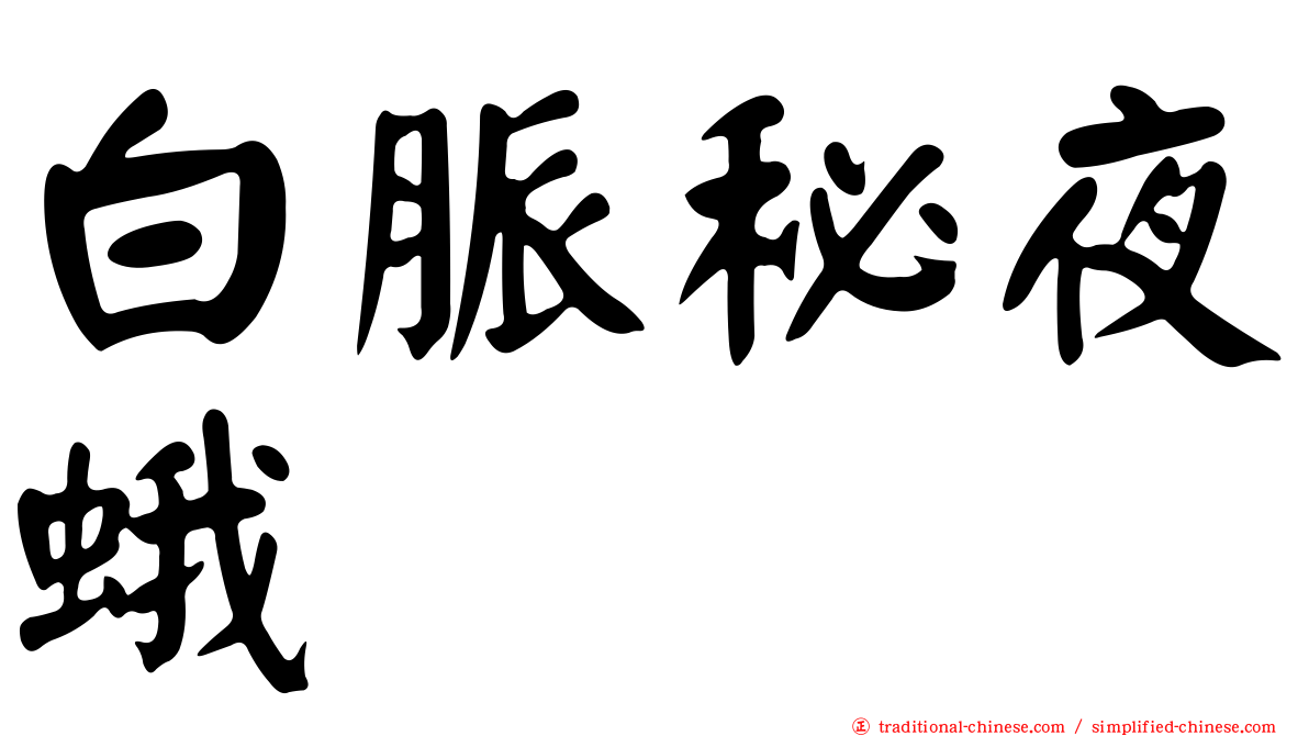白脈秘夜蛾