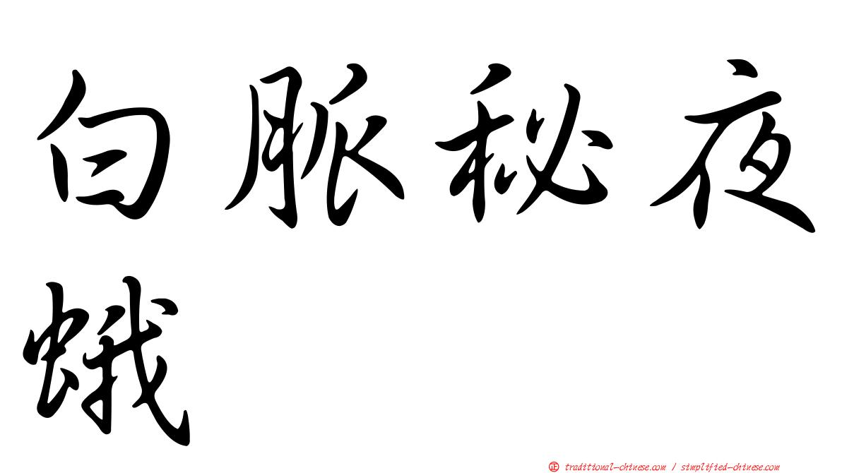 白脈秘夜蛾
