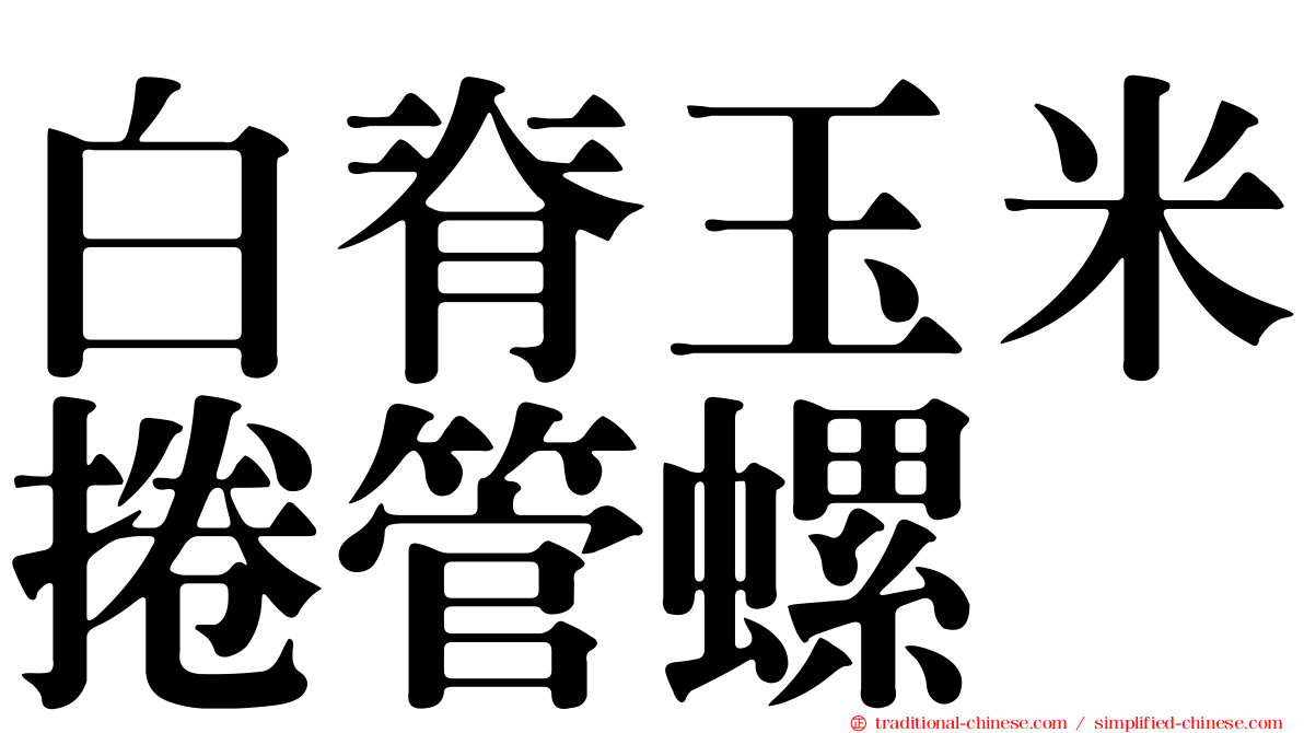 白脊玉米捲管螺