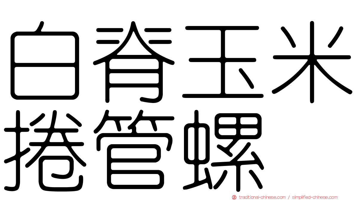 白脊玉米捲管螺