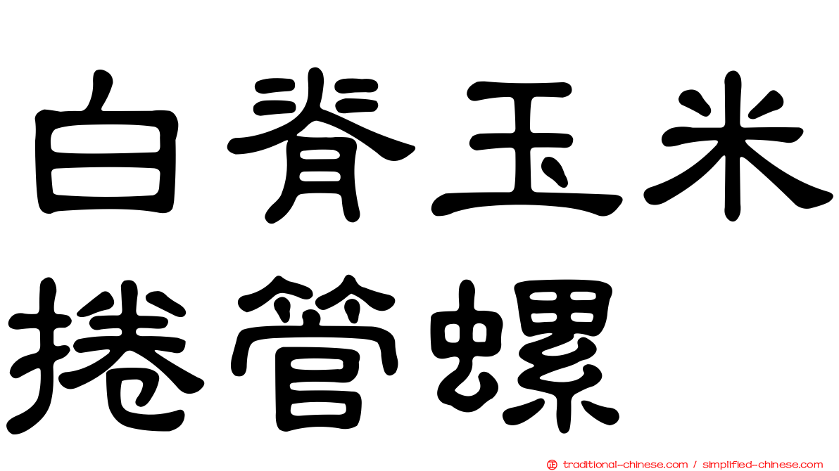 白脊玉米捲管螺