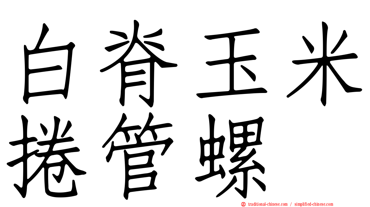 白脊玉米捲管螺