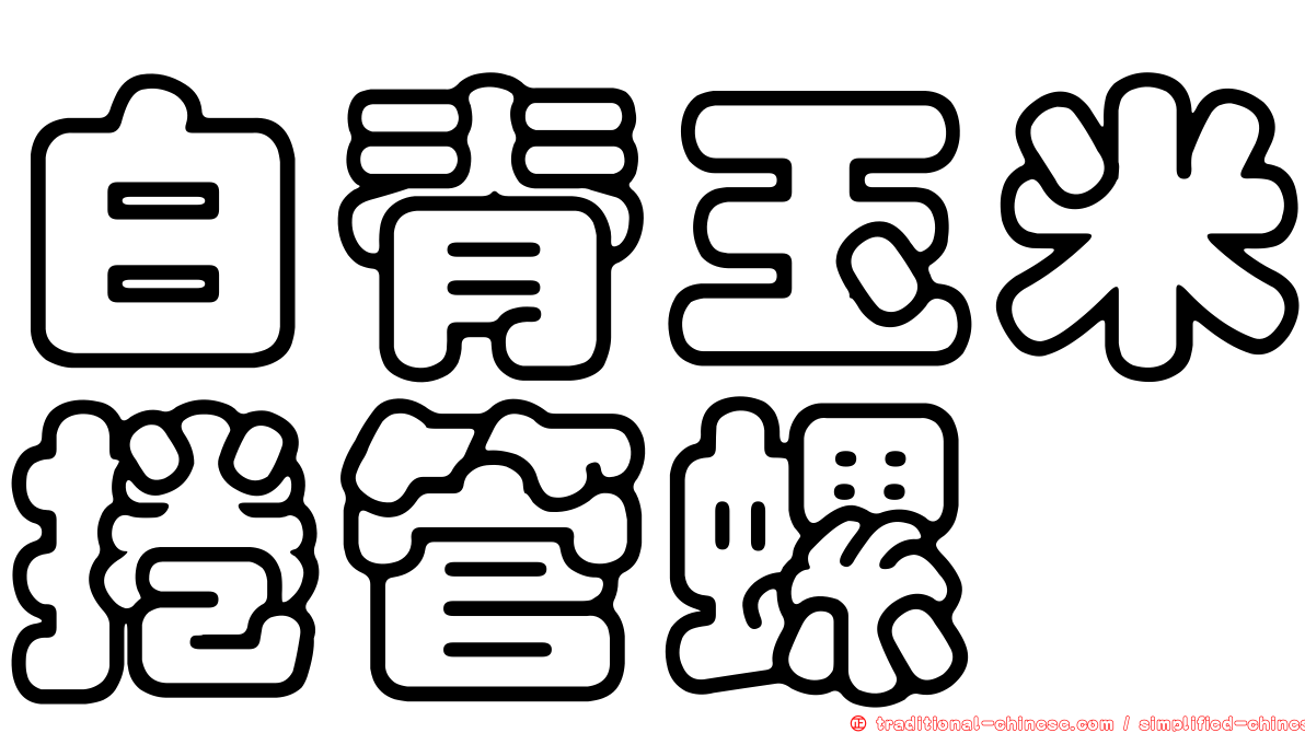 白脊玉米捲管螺