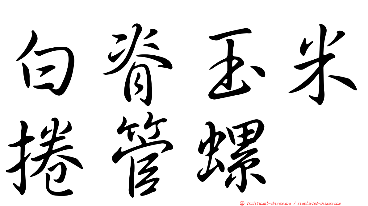 白脊玉米捲管螺