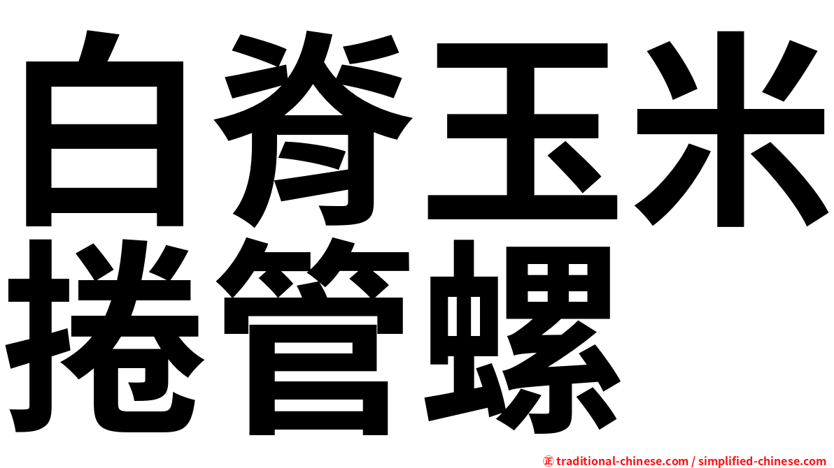 白脊玉米捲管螺