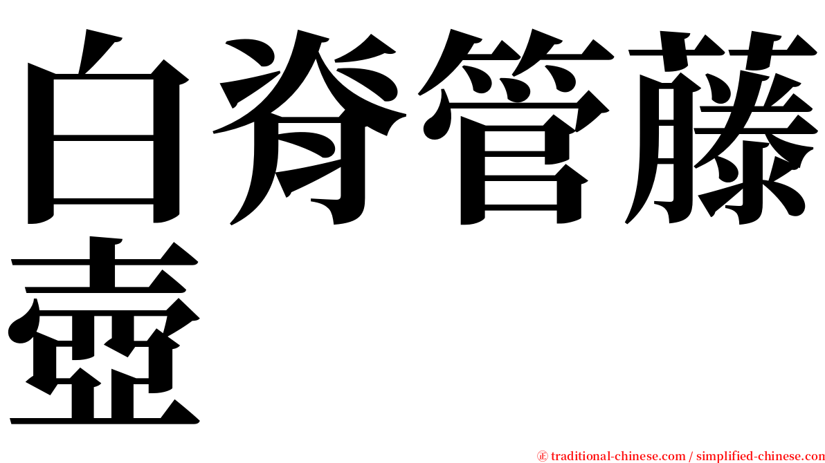白脊管藤壺 serif font
