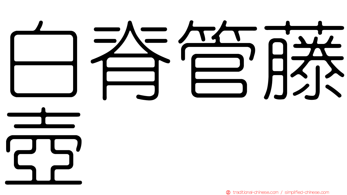 白脊管藤壺