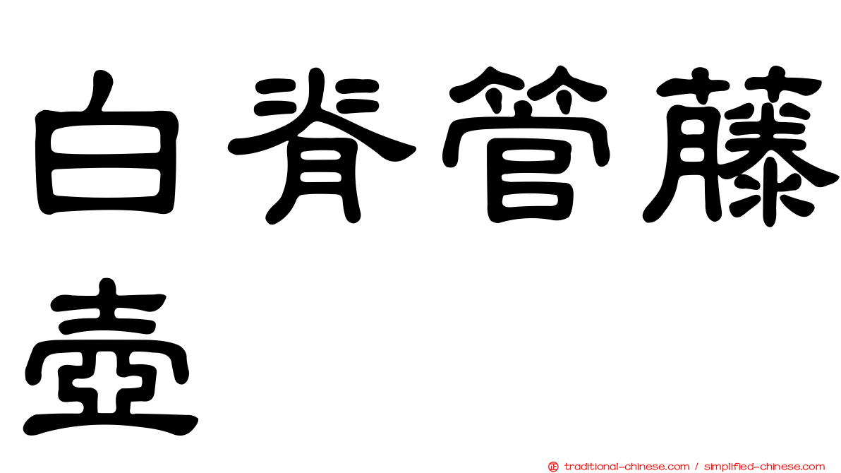 白脊管藤壺