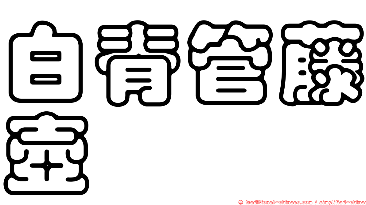 白脊管藤壺
