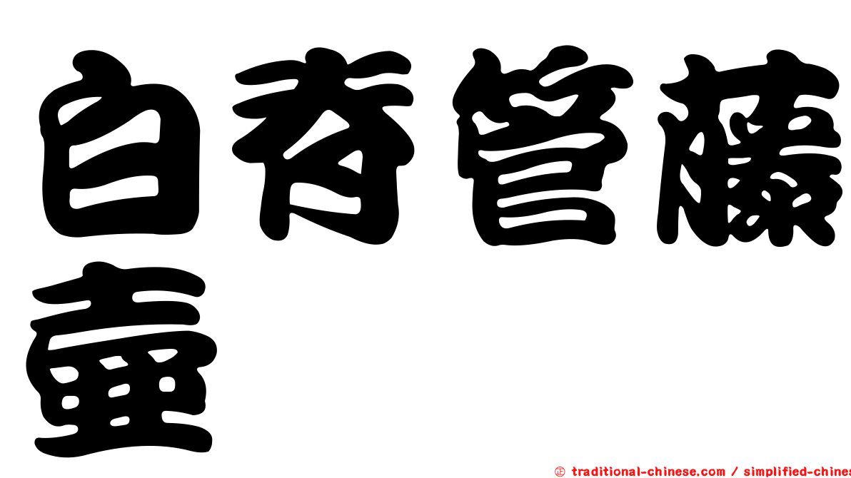 白脊管藤壺
