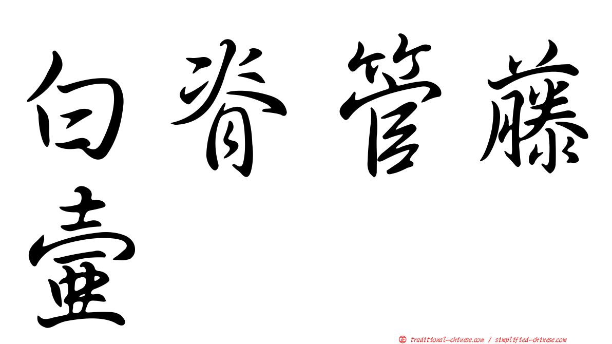 白脊管藤壺