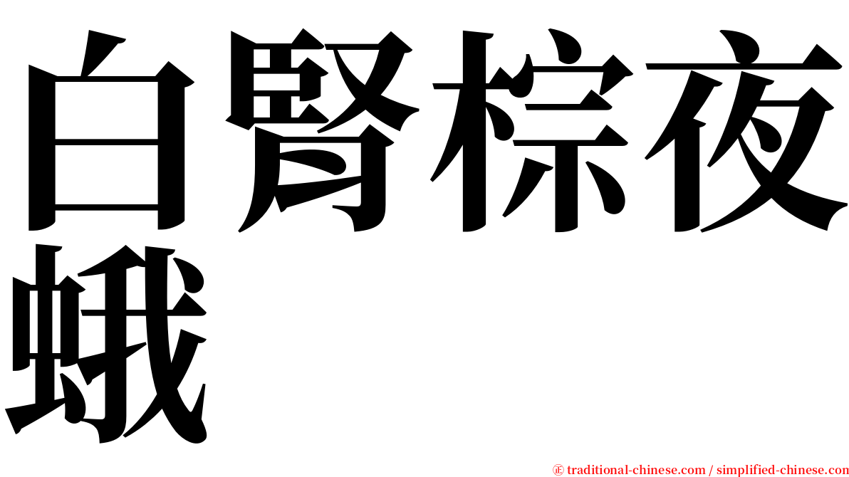 白腎棕夜蛾 serif font