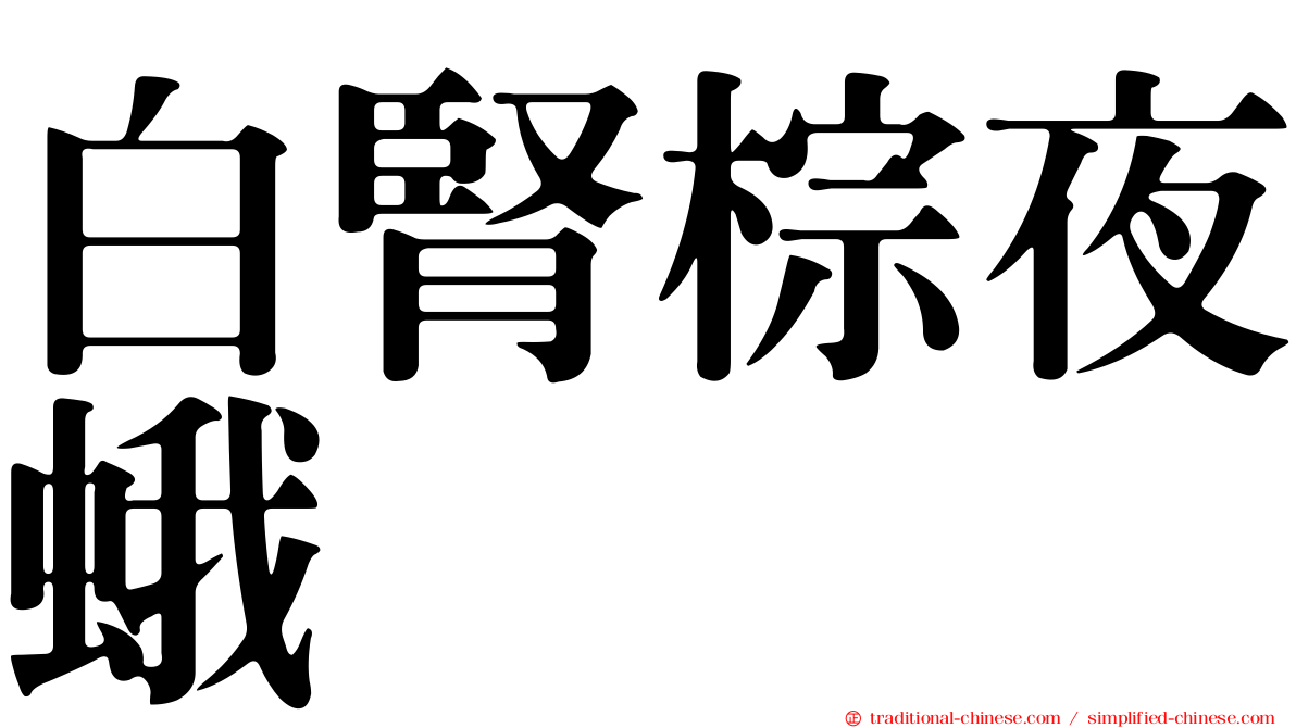 白腎棕夜蛾