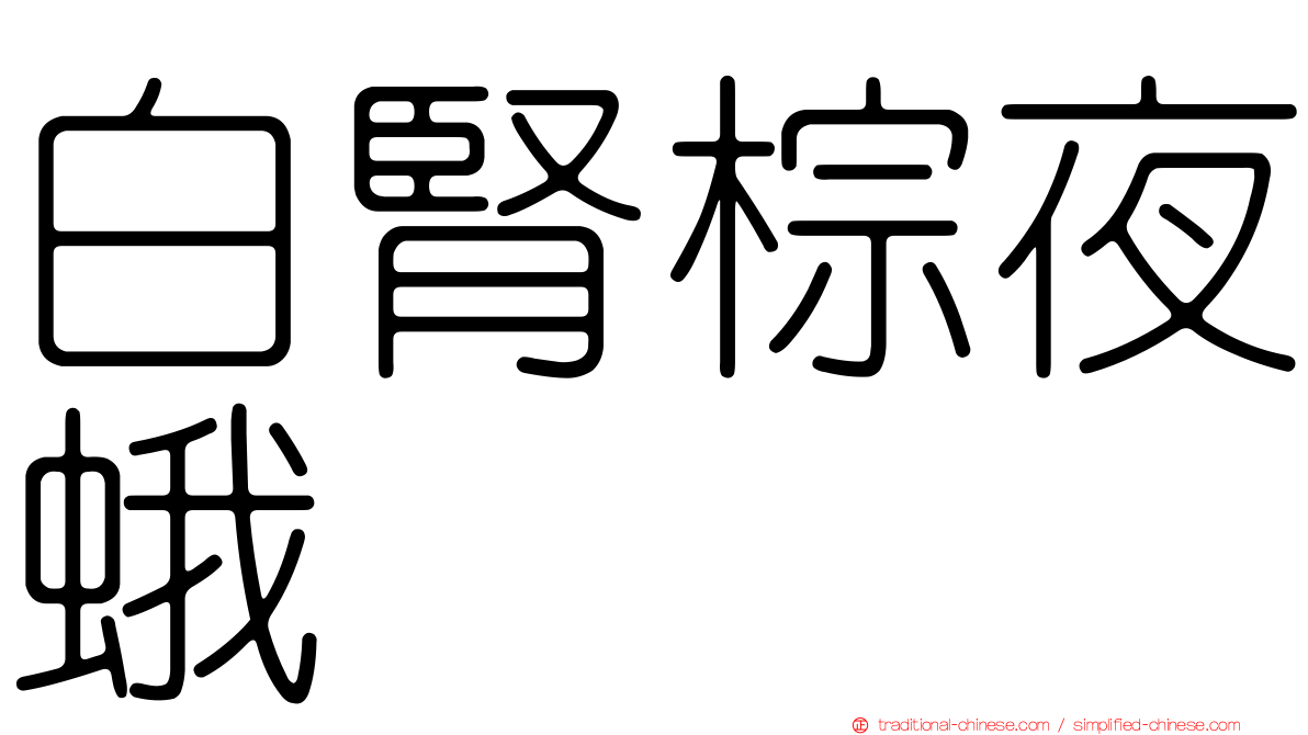 白腎棕夜蛾
