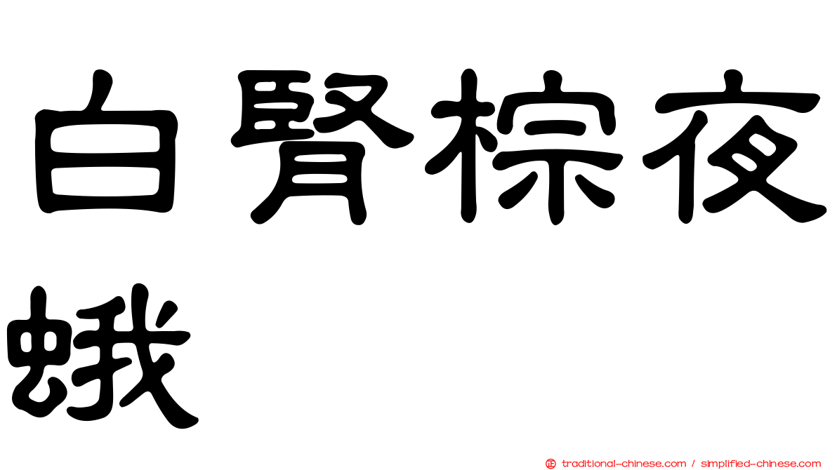 白腎棕夜蛾