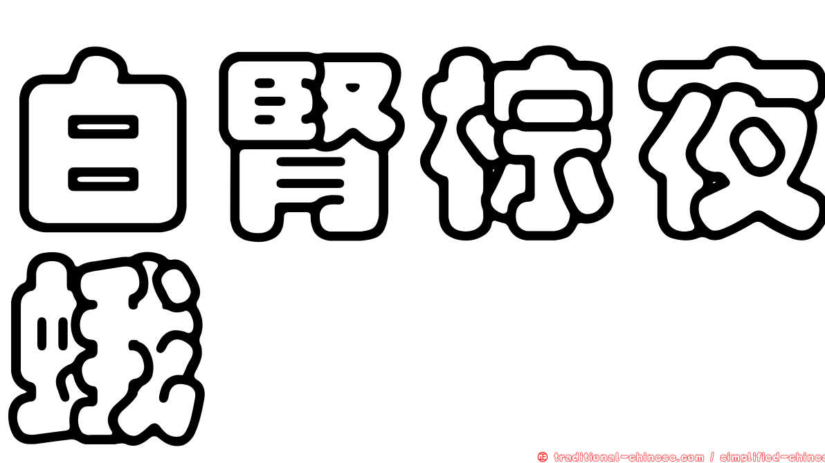 白腎棕夜蛾