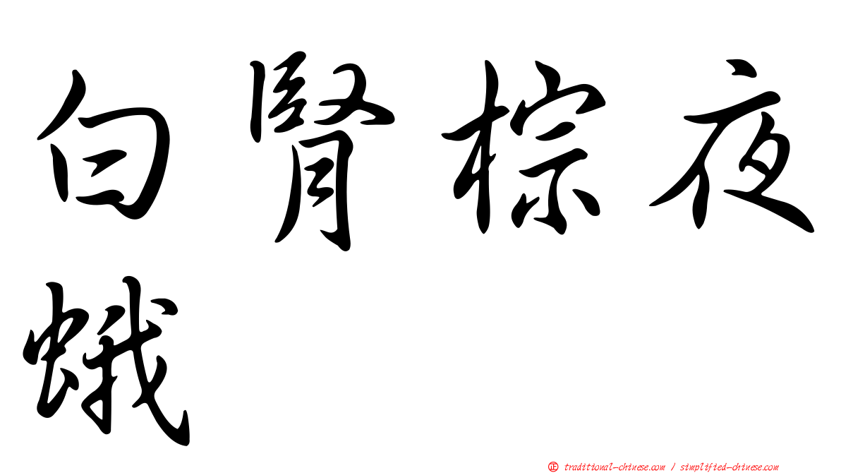 白腎棕夜蛾