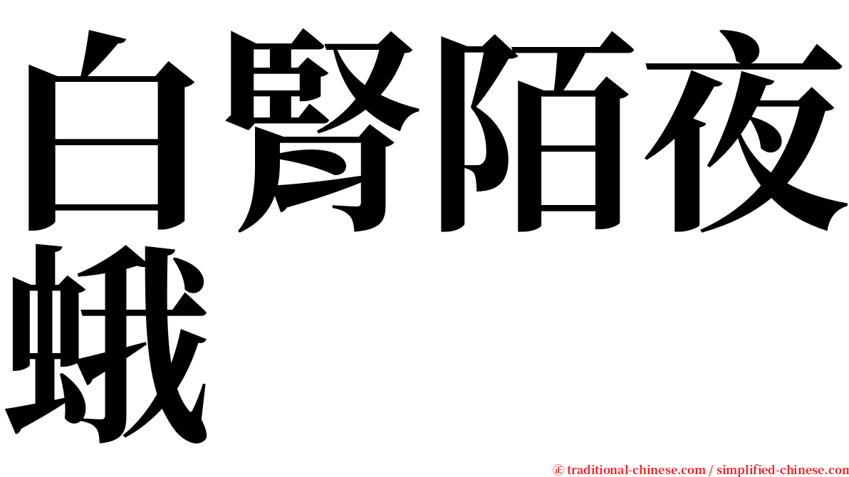 白腎陌夜蛾 serif font