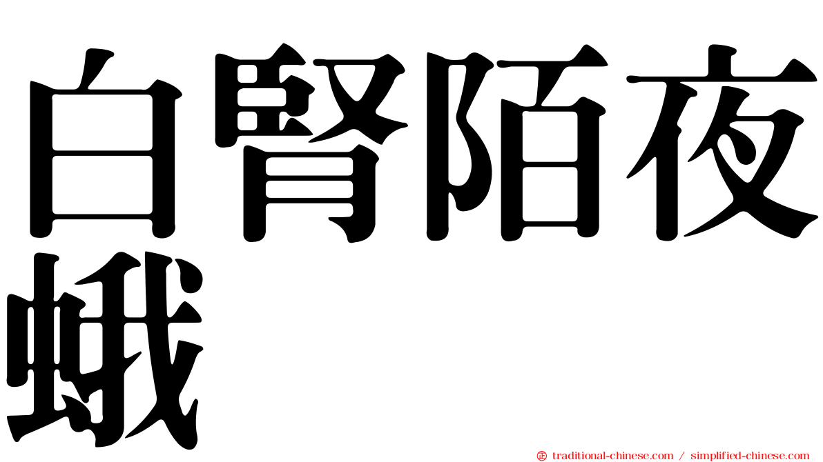 白腎陌夜蛾