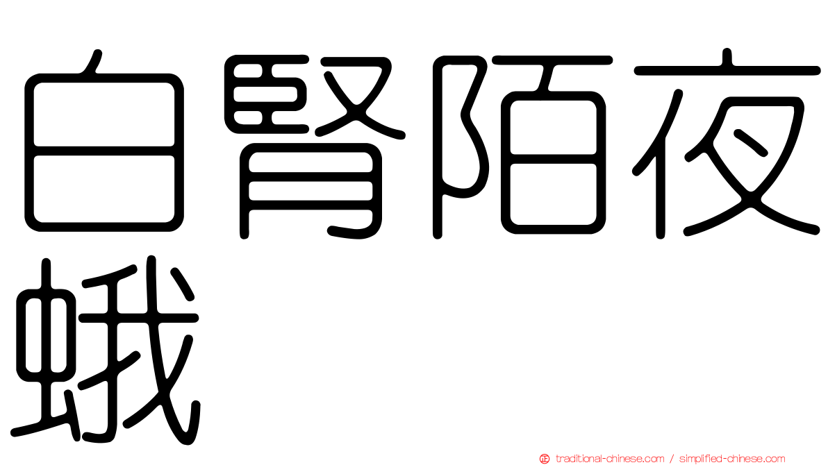 白腎陌夜蛾